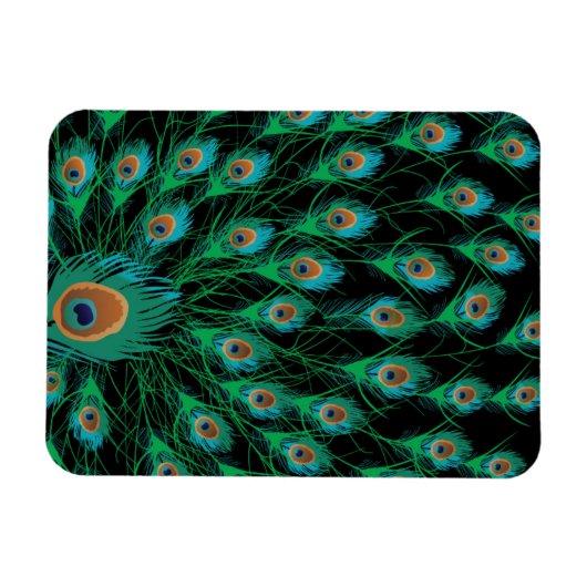 イラストレーションと孔雀の羽を黒 マグネット (横)