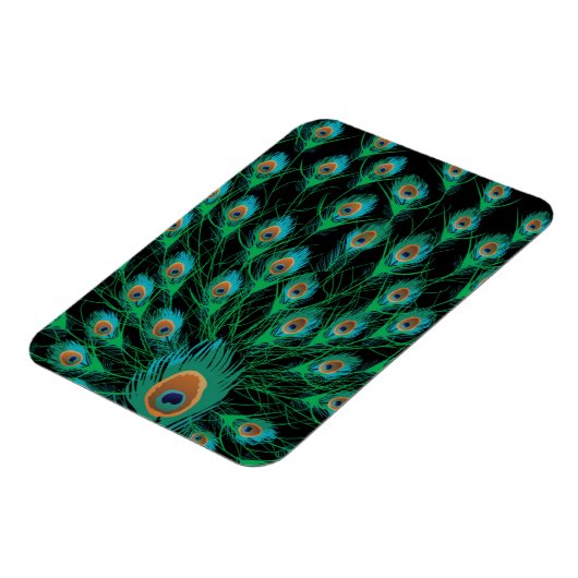 イラストレーションと孔雀の羽を黒 マグネット (左側)