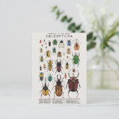 イラストレーションコレオペ ポストカード (スタンド正面)