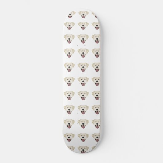 イラストレーションゴールデン·ラブラドール·レトリーバーとスマイル スケートボード (正面)