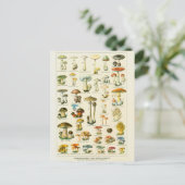 イラストレーションシャンパンダンジュルー ポストカード (スタンド正面)