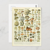 イラストレーションディクショナーレシャンピニョン ポストカード (正面/裏面)