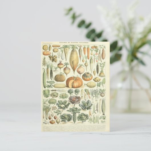 イラストレーションディクションナワールレグム ポストカード (スタンド正面)