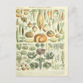 イラストレーションディクションナワールレグム ポストカード (正面)