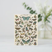 イラストレーションノスボンパピヨン ポストカード (スタンド正面)