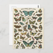 イラストレーションノスボンパピヨン ポストカード (正面/裏面)