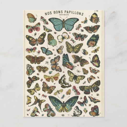 イラストレーションノスボンパピヨン ポストカード (正面)