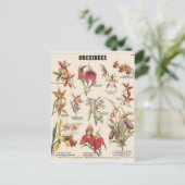 イラストレーションラン ポストカード (スタンド正面)