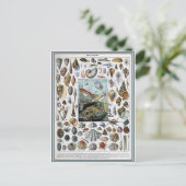 イラストレーション分位性軟体動物 ポストカード (スタンド正面)