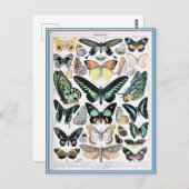 イラストレーション分裂 ポストカード (正面/裏面)