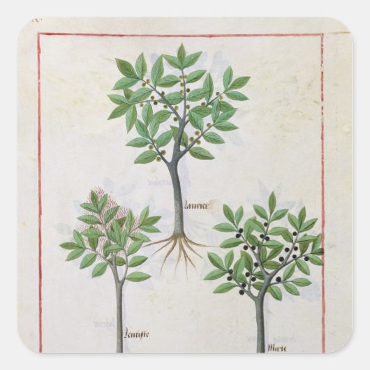 『イラストレーション薬シンプル書』の スクエアシール (正面)