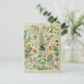 イラストレーション辞書フルーア ポストカード (スタンド正面)