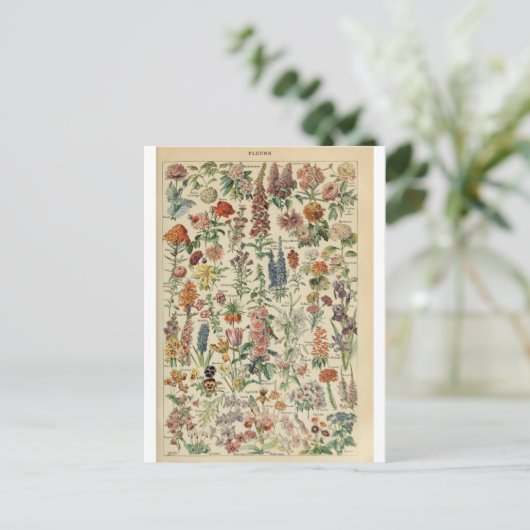 イラストレーション辞書フルーア ポストカード (スタンド正面)