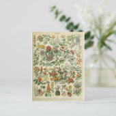 イラストレーション辞書フルーア ポストカード (スタンド正面)