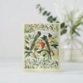 イラストレーション辞書 ポストカード (スタンド正面)