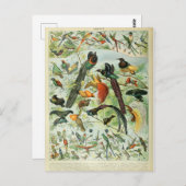 イラストレーション辞書 ポストカード (正面/裏面)