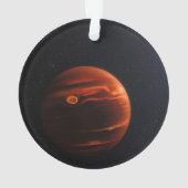 イラストレーション・オブ・エクソプラネットVhs 1256 Bとその星 オーナメント (裏面)