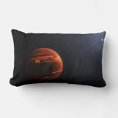 イラストレーション・オブ・エクソプラネットVhs 1256 Bとその星 ランバークッション (正面)