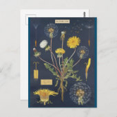 イラストレーション ポストカード (正面/裏面)