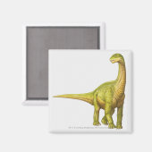 イラストレーション マグネット (正面/裏面)