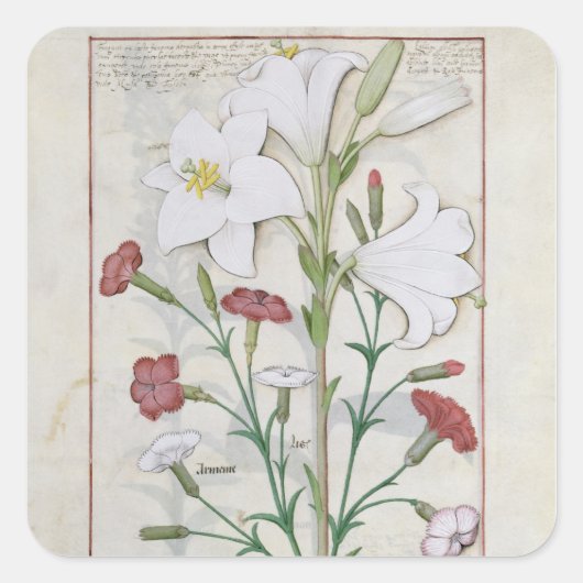 イラストレーション「書」よりシンプル スクエアシール (正面)