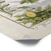 イラストレーション「薬シンプル書」 2 ポスター (角)