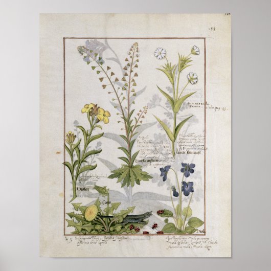 イラストレーション「薬シンプル書」 2 ポスター (正面)