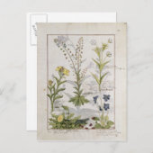 イラストレーション「薬シンプル書」 2 ポストカード (正面/裏面)