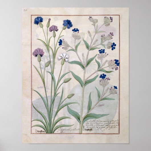 イラストレーション「薬シンプル書」 3 ポスター (正面)