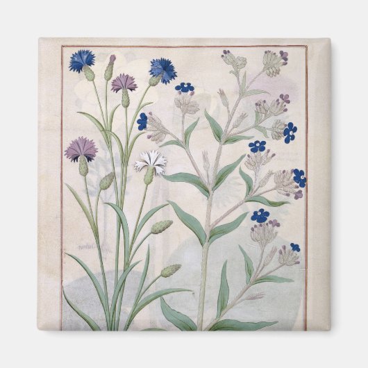 イラストレーション「薬シンプル書」 3 マグネット (正面)