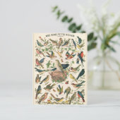 イラストレーションnosのbaqtits oisaux ポストカード (スタンド正面)