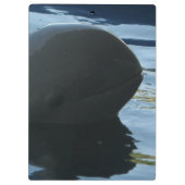 イラワディドルフィンピークアボー クリップボード (裏面)