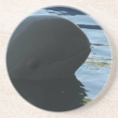 イラワディドルフィンピークアボー コースター (正面)