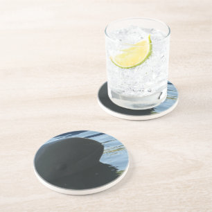 イラワディドルフィンピークアボー コースター