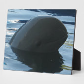 イラワディドルフィンピークアボー フォトプラーク (側面)