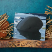 イラワディドルフィンピークアボー フォトプラーク (側面)