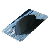 イラワディドルフィンピークアボー マグネット (左側)