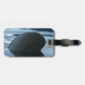 イラワディドルフィンピークアボー ラゲッジタグ (裏面横)