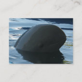 イラワディドルフィンピークアボー 名刺 (裏面)