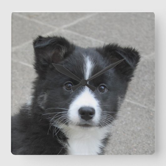 イランドフント スクエア壁時計 (正面)