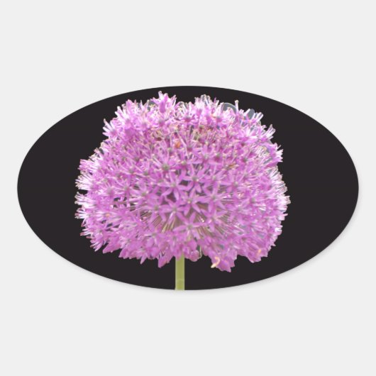 イリアムサマー春フラワーアイリッシュデザイン 楕円形シール (正面)