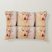 イリオスのベビーの多枕 アクセントクッション (裏面)