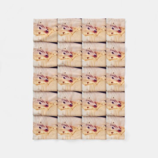 イリオスのベビーの小さいフリースブランケット フリースブランケット (正面)