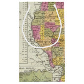 イリノイの新しい地図 スモールペーパーバッグ (裏面)