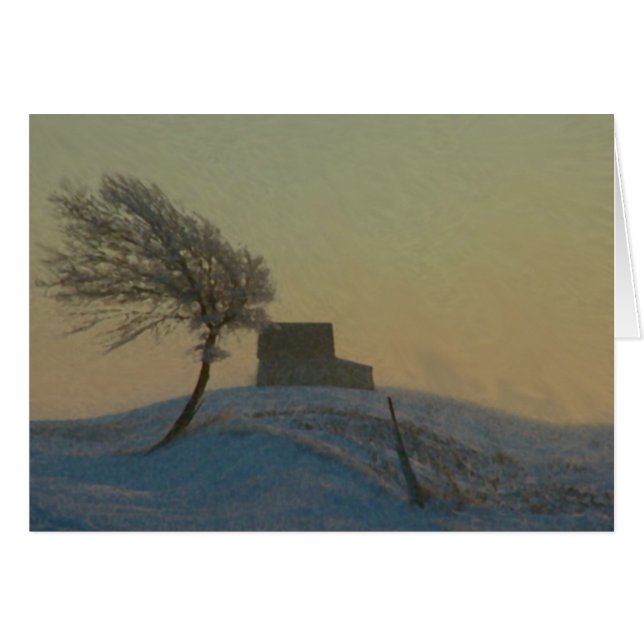 イリノイの雪の嵐 (正面横)