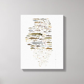 イリノイの魚ポスター キャンバスプリント