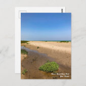 イリノイビーチ州パークハガキ ポストカード (正面/裏面)