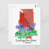 イリノイ州からの愛の発信(鳥)ショウジョウコウカンチョウスミレ ポストカード (正面/裏面)