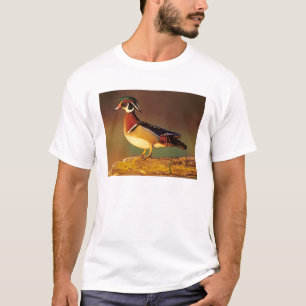 イリノイ州のオシドリの雄 Tシャツ