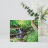 イリノイ州の干上がったロックパーク ポストカード (スタンド正面)